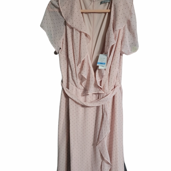 Danny & Nicole Dresses & Skirts - NEW Pale pink and polka dot dress size 20W